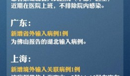 新冠检测员爆料案例最新,一线抗疫背后的真实挑战与感人故事