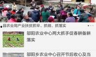 鹤峰今日一线爆料新闻最新,揭秘最新爆料背后的真相与影响